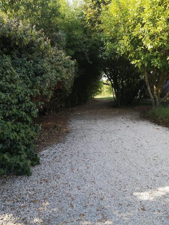 Au Bel Air Panzió Clermont-Pouyguilles Kültér fotó